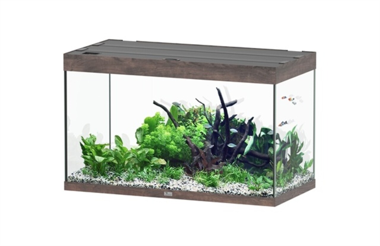 Aquatlantis Aquatlantis Aquarium Sublime 100x50 Cm Aquatlantis Aquatlantis Aquarium Sublime 100x50 Cm