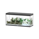 Aquatlantis Aquatlantis Aquarium Sublime 150x60 Cm Aquatlantis Aquatlantis Aquarium Sublime 150x60 Cm