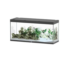 Aquatlantis Aquatlantis Aquarium Sublime 150x60 Cm Aquatlantis Aquatlantis Aquarium Sublime 150x60 Cm
