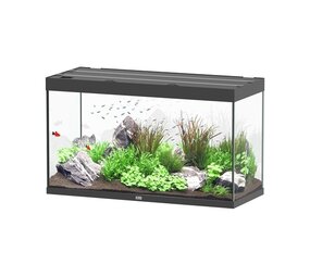 Aquatlantis Aquatlantis Aquarium Sublime 120x50 Cm Aquatlantis Aquatlantis Aquarium Sublime 120x50 Cm