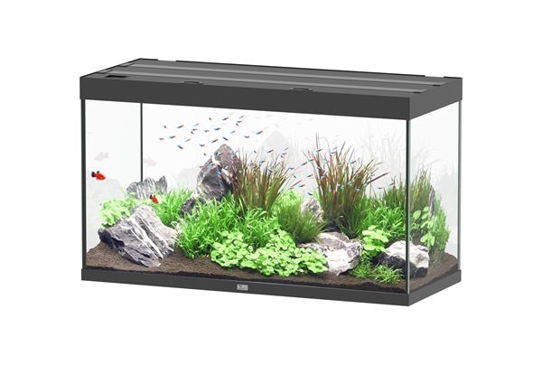 Asie :: Aquatlantis Aquarium - Aquariums & Accessoires