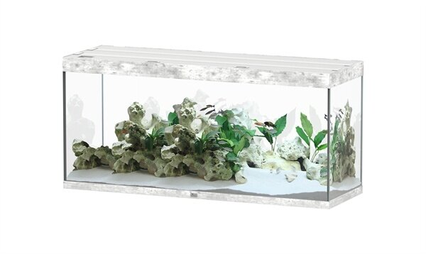Aquatlantis Aquatlantis Aquarium Sublime 150x50 Cm Aquatlantis Aquatlantis Aquarium Sublime 150x50 Cm