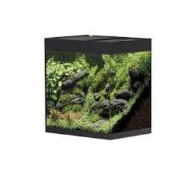 Oase OASE STYLELINE 85 AQUARIUM Oase OASE STYLELINE 85 AQUARIUM