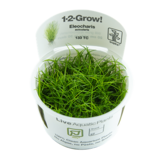 Tropica Eleocharis Acicularis 1-2 Grow!
