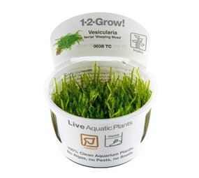 Tropica Vesicularia Ferriei Weeping Moss 1-2 Grow! Tropica Vesicularia Ferriei Weeping Moss 1-2 Grow!