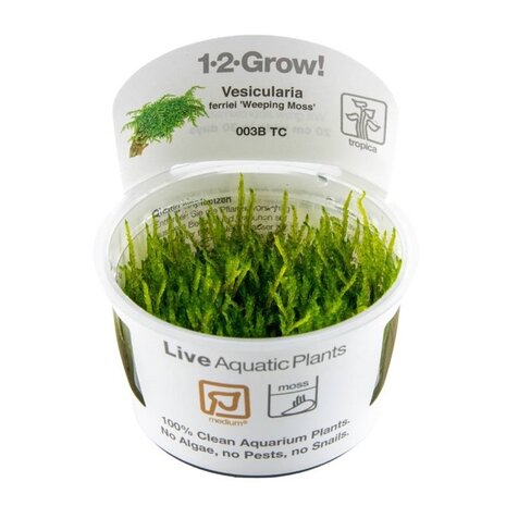 Tropica Vesicularia Ferriei Weeping Moss 1-2 Grow! Tropica Vesicularia Ferriei Weeping Moss 1-2 Grow!
