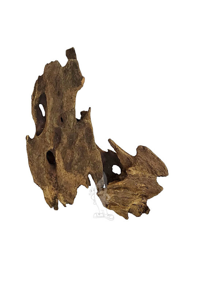 Wabi Kusa WABI KUSA HONEYCOMB WOOD 5-12 CM 2 ST.