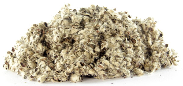 Esve Katoen ESVE Esve Katoen ESVE