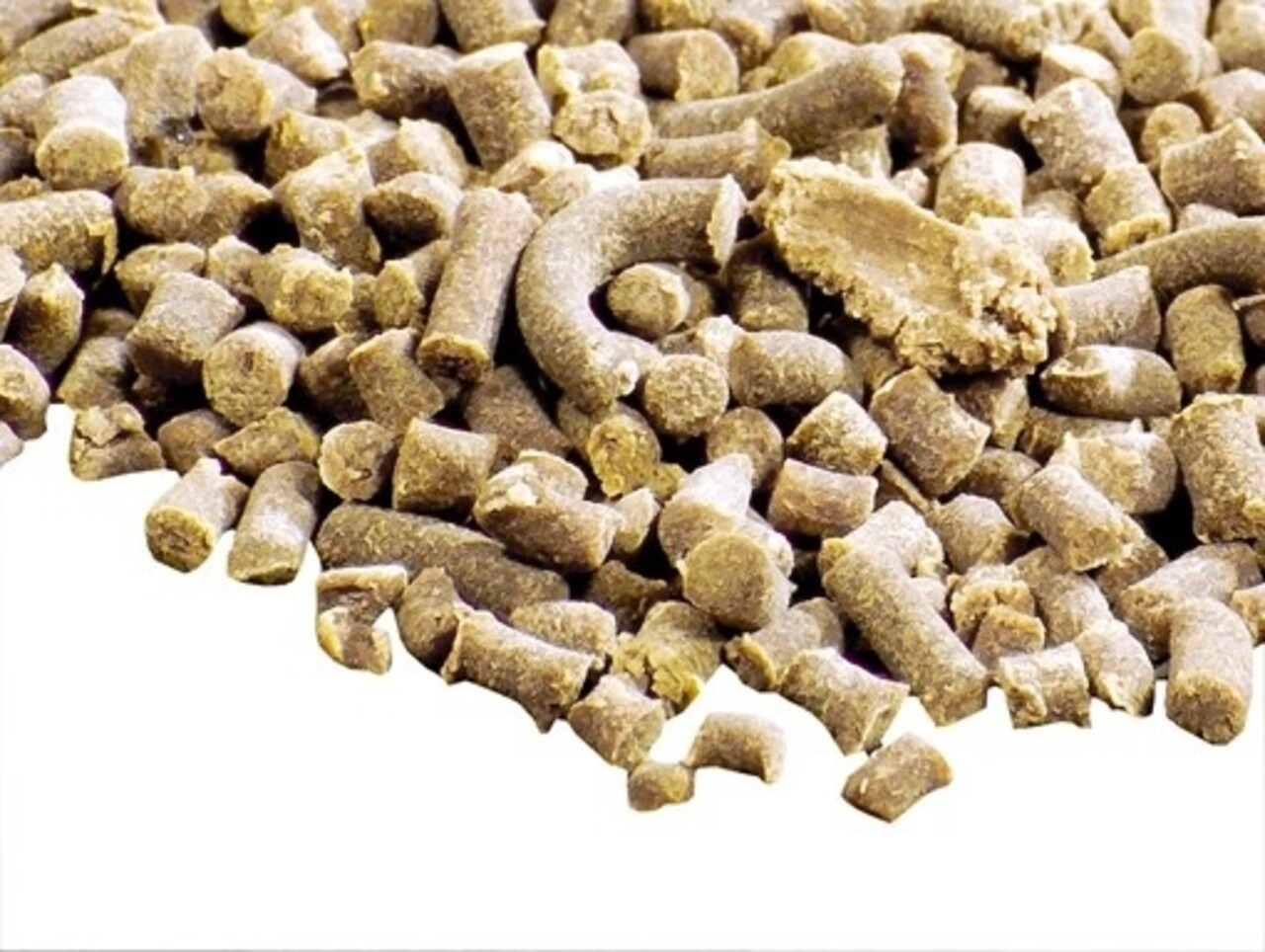 HS AQUA HOBBY PROTOGEN, INFUSORIEN 20 ML