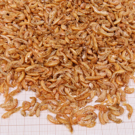 JBL JBL PROTERRA GAMMARUS 750ML JBL JBL PROTERRA GAMMARUS 750ML