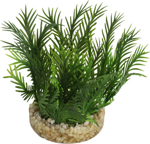 Sydeco Kunststof plant green moss 7 cm Sydeco Kunststof plant green moss 7 cm