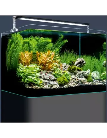 Dennerle Dennerle Nano Tank Plant Pro 70L Dennerle Dennerle Nano Tank Plant Pro 70L