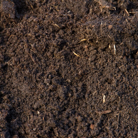 Moerings Moerings Vijveraarde