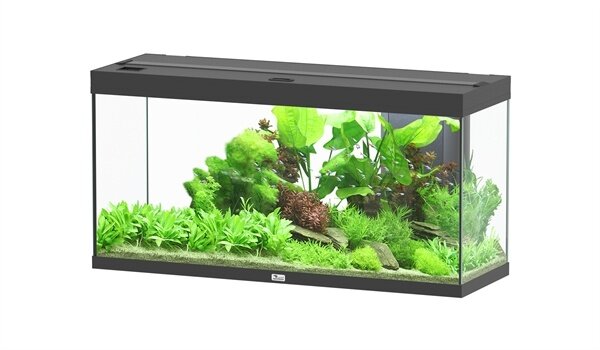 Aquatlantis Aquatlantis Aquarium Splendid Ultra 120x50 Aquatlantis Aquatlantis Aquarium Splendid Ultra 120x50