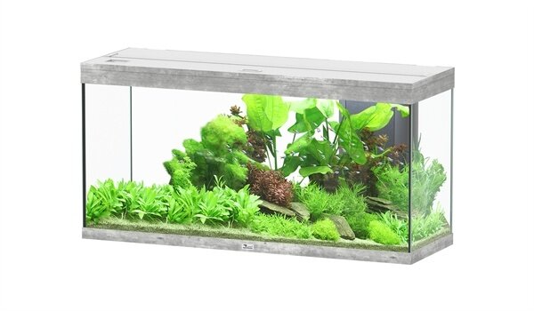Aquatlantis Aquatlantis Aquarium Splendid Ultra 120x50 Aquatlantis Aquatlantis Aquarium Splendid Ultra 120x50