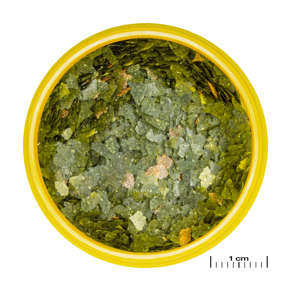 JBL JBL PRONOVO GUPPY FLAKES S 100ML JBL JBL PRONOVO GUPPY FLAKES S 100ML