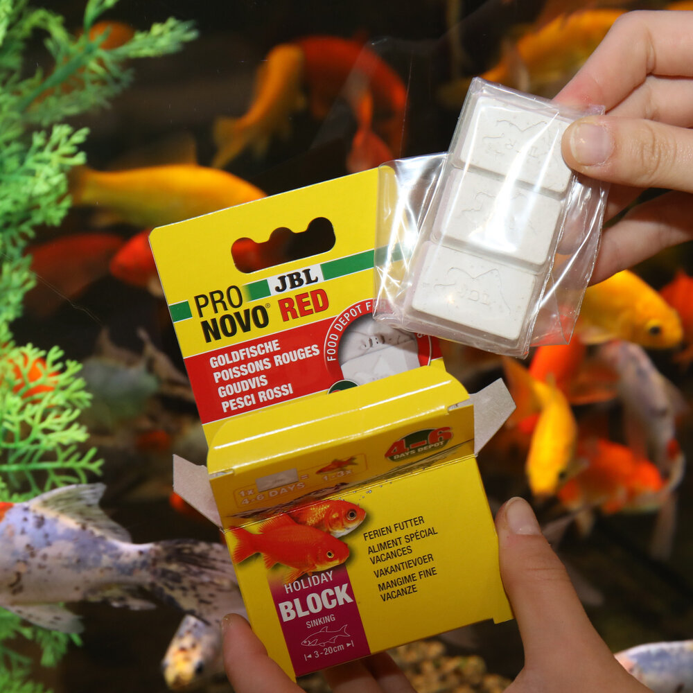 JBL JBL PRONOVO RED HOLIDAY JBL JBL PRONOVO RED HOLIDAY