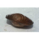 Zwanenmossel 10/15CM Zwanenmossel 10/15CM