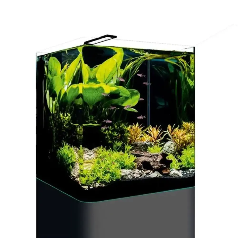 Dennerle DENNERLE NANO CUBE BASIC 60 L Dennerle DENNERLE NANO CUBE BASIC 60 L