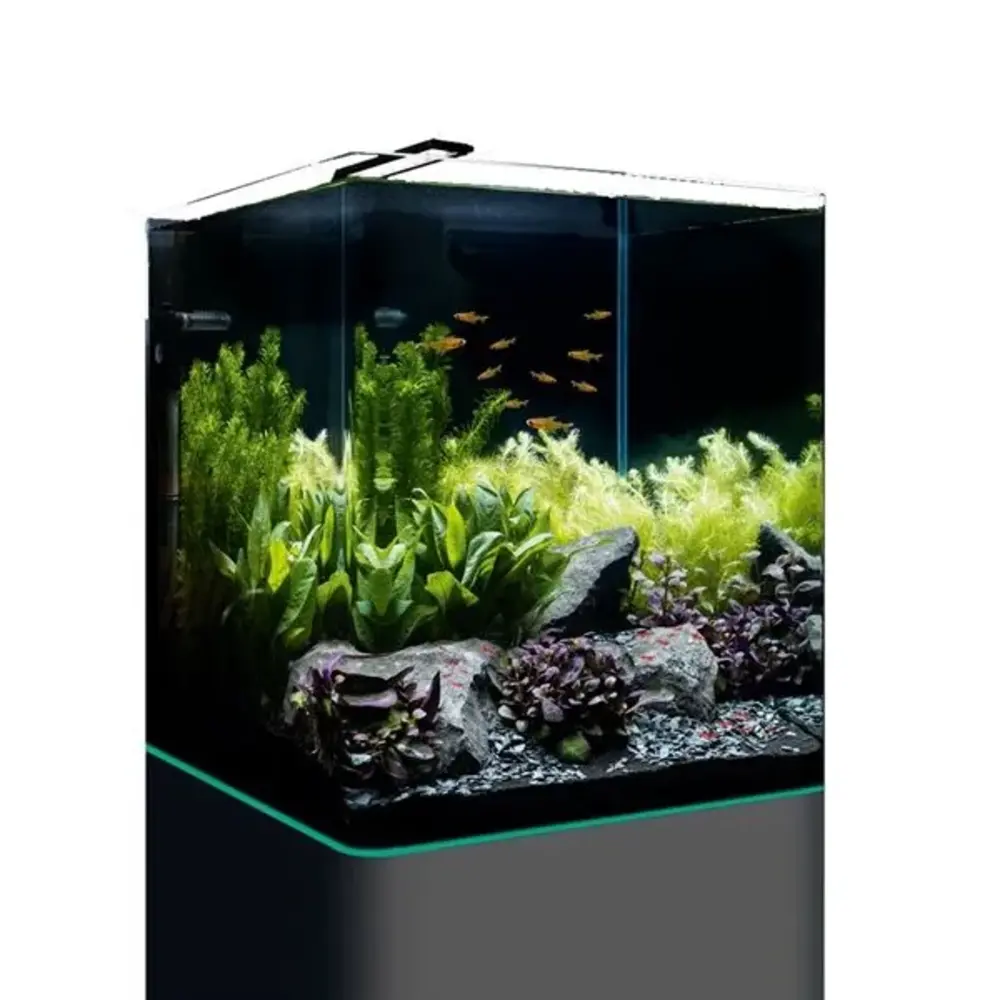 Dennerle DENNERLE NANOCUBE COMPLETE 60 L Dennerle DENNERLE NANOCUBE COMPLETE 60 L