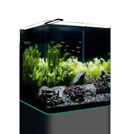Dennerle DENNERLE NANOCUBE COMPLETE 60 L Dennerle DENNERLE NANOCUBE COMPLETE 60 L