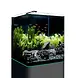 Dennerle DENNERLE NANOCUBE COMPLETE 60 L Dennerle DENNERLE NANOCUBE COMPLETE 60 L