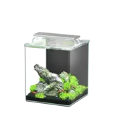 Aquatlantis Aquatlantis Kubus Curve Essential Aquatlantis Aquatlantis Kubus Curve Essential