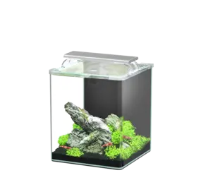 Aquatlantis Aquatlantis Kubus Curve Essential Aquatlantis Aquatlantis Kubus Curve Essential