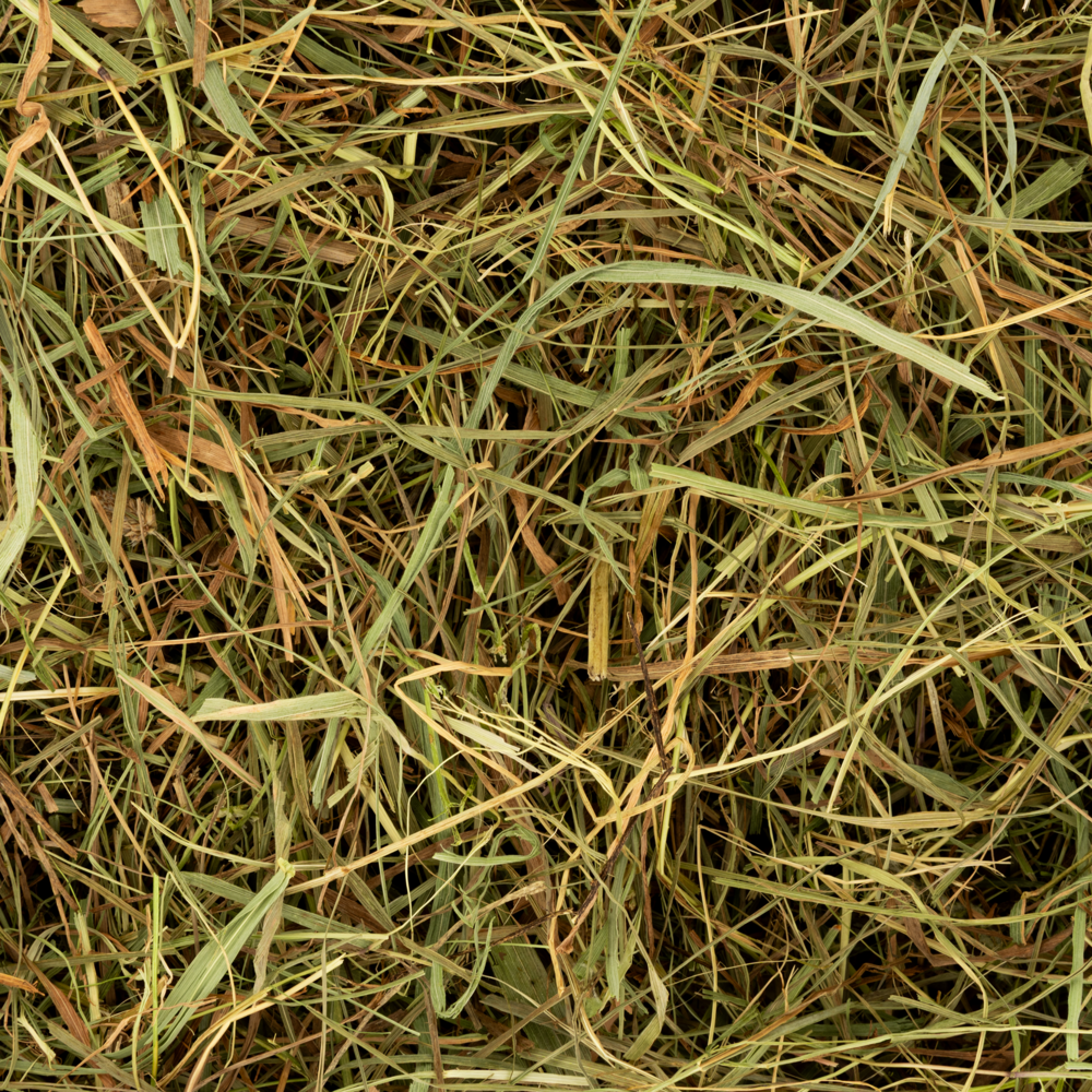 Deli Nature Deli Nature Premium Weidehooi voorgesneden 5kg Deli Nature Deli Nature Premium Weidehooi voorgesneden 5kg