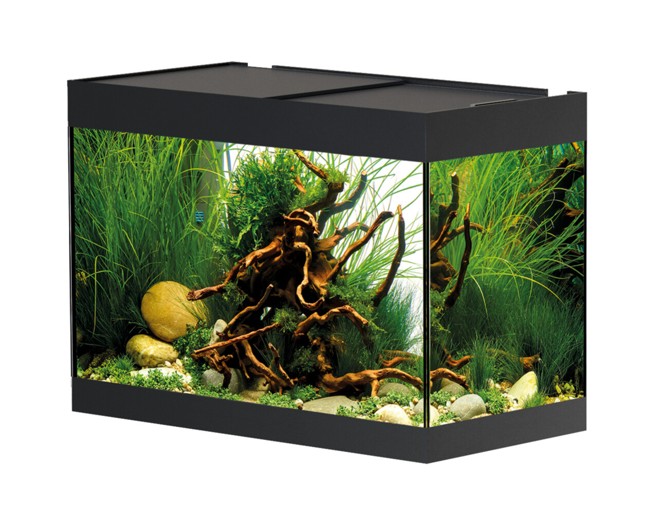 Oase OASE STYLELINE 175 AQUARIUM Oase OASE STYLELINE 175 AQUARIUM