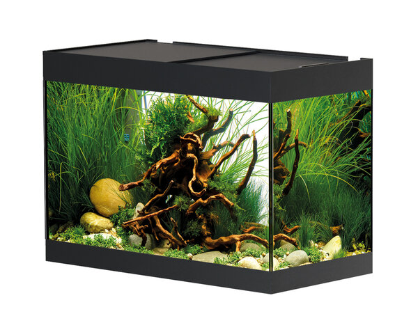 Oase OASE STYLELINE 175 AQUARIUM Oase OASE STYLELINE 175 AQUARIUM