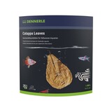 Dennerle Dennerle Catappa Leaves 10 stuks Dennerle Dennerle Catappa Leaves 10 stuks