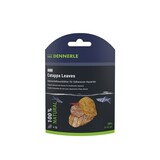 Dennerle DENNERLE NANO CATAPPA LEAVES 12 ST Dennerle DENNERLE NANO CATAPPA LEAVES 12 ST