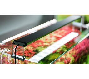 CHIHIROS B-SERIE 30-50 CM CHIHIROS B-SERIE 30-50 CM