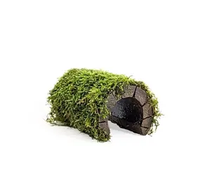 Moerings FISHHOUSE MET JAVAMOS