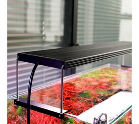 CHIHIROS WRGB2 PRO 120 CM 138 W