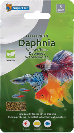Superfish SF FREEZE DRIED DAPHNIA 5 GRAM Superfish SF FREEZE DRIED DAPHNIA 5 GRAM