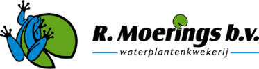 Moerings