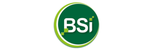 BSI