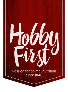 Hobby First