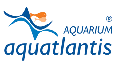 Aqualantis