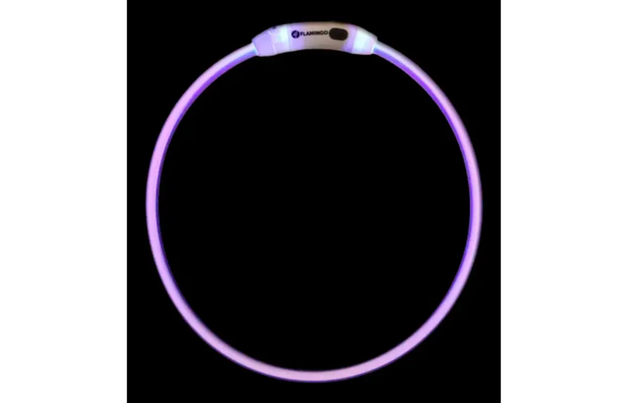 Flamingo FLAMINGO HOND HALSBAND RAINA VISIO MEERKLEURIG
