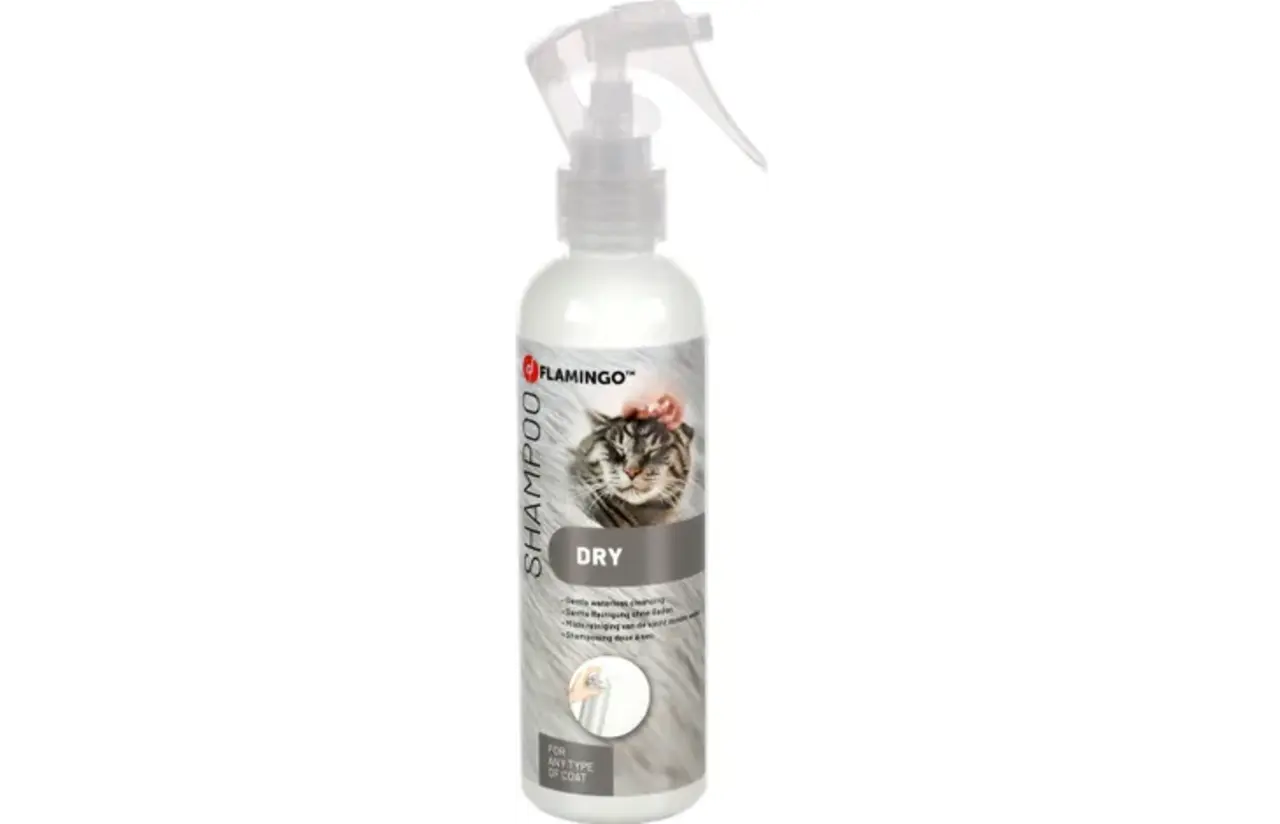 Flamingo FLAMINGO DROOGSHAMP KAT 200 ML Flamingo FLAMINGO DROOGSHAMP KAT 200 ML