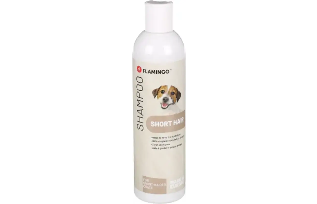 Flamingo FLAMINGO SHAMP AVOCADO KORTHARIGE RASSEN 300 ML Flamingo FLAMINGO SHAMP AVOCADO KORTHARIGE RASSEN 300 ML