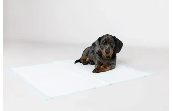 Flamingo FLAMINGO PUPPY TRAININGSMAT 20 ST Flamingo FLAMINGO PUPPY TRAININGSMAT 20 ST