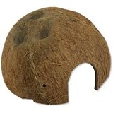 JBL JBL COCOS CAVA 12M BRUIN JBL JBL COCOS CAVA 12M BRUIN