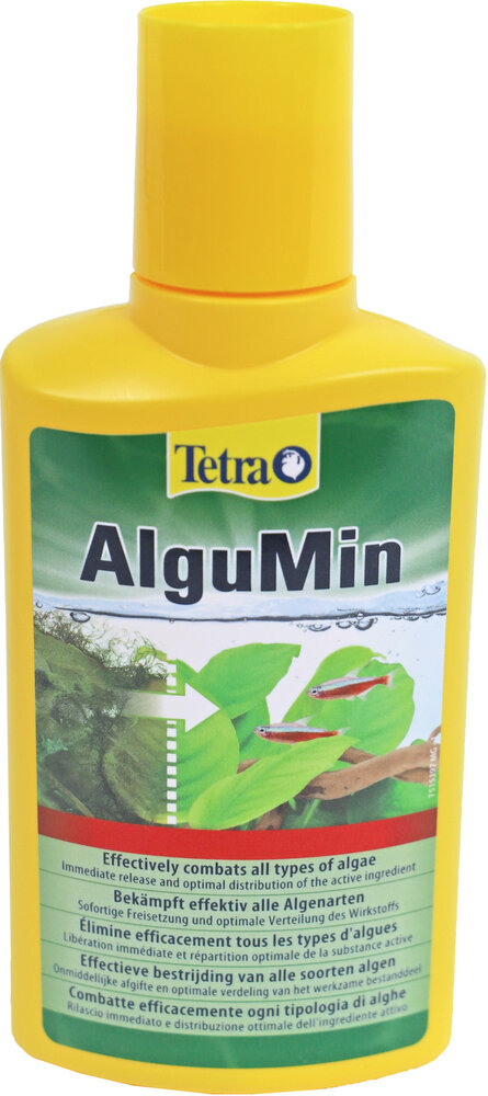 Tetra Tetra algumin Tetra Tetra algumin