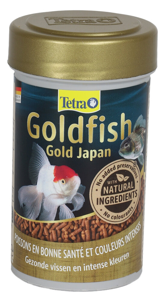 Tetra Tetra Goldfish Gold Japan