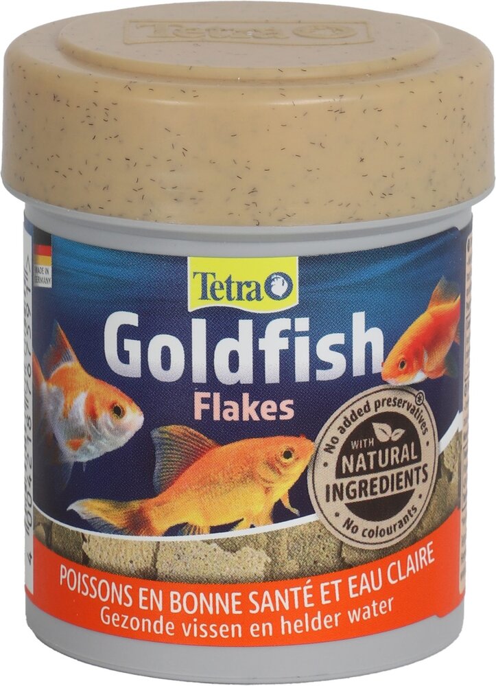 Tetra Tetra Goldfish Tetra Tetra Goldfish