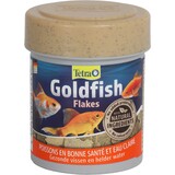 Tetra Tetra Goldfish Tetra Tetra Goldfish